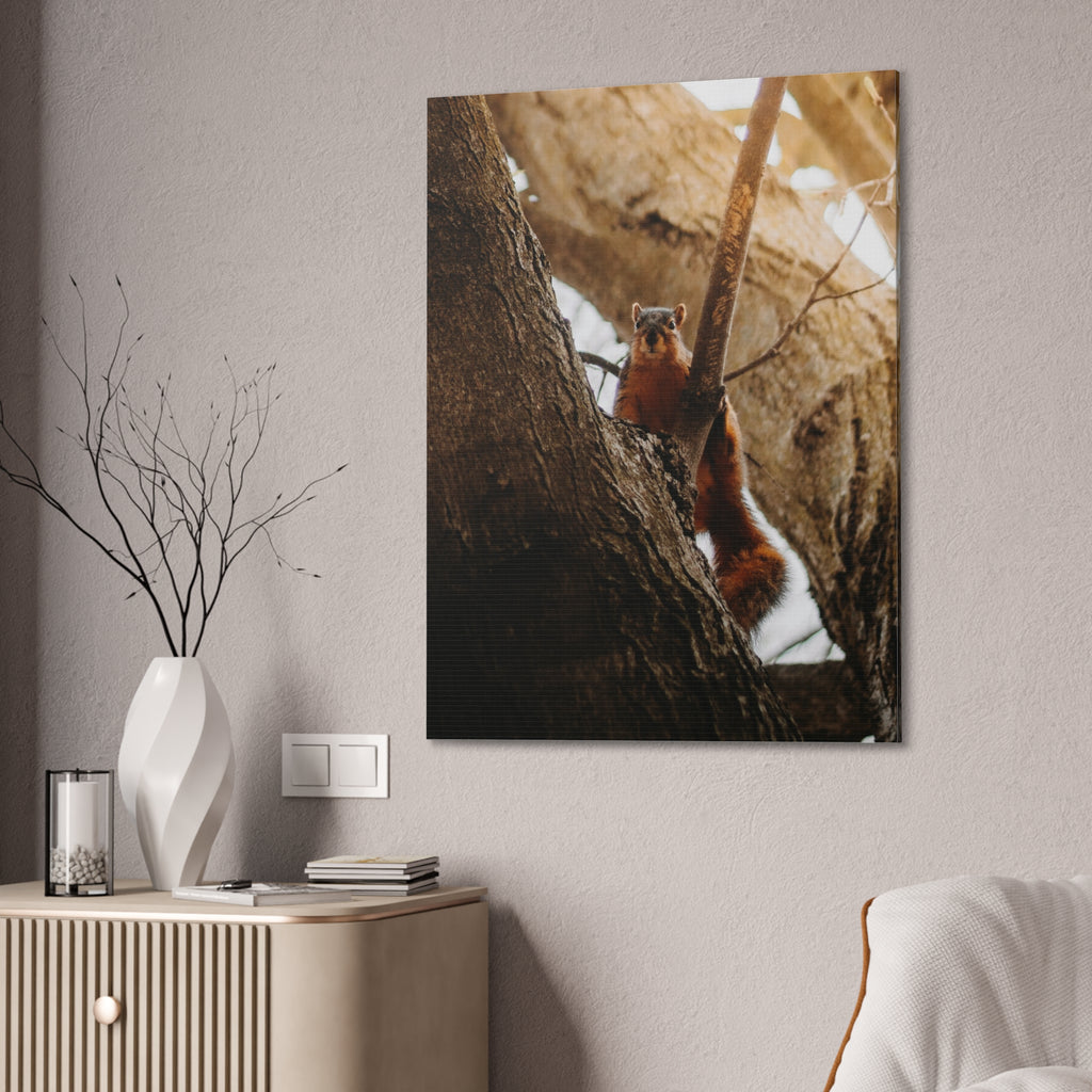 Squirrel Canvas