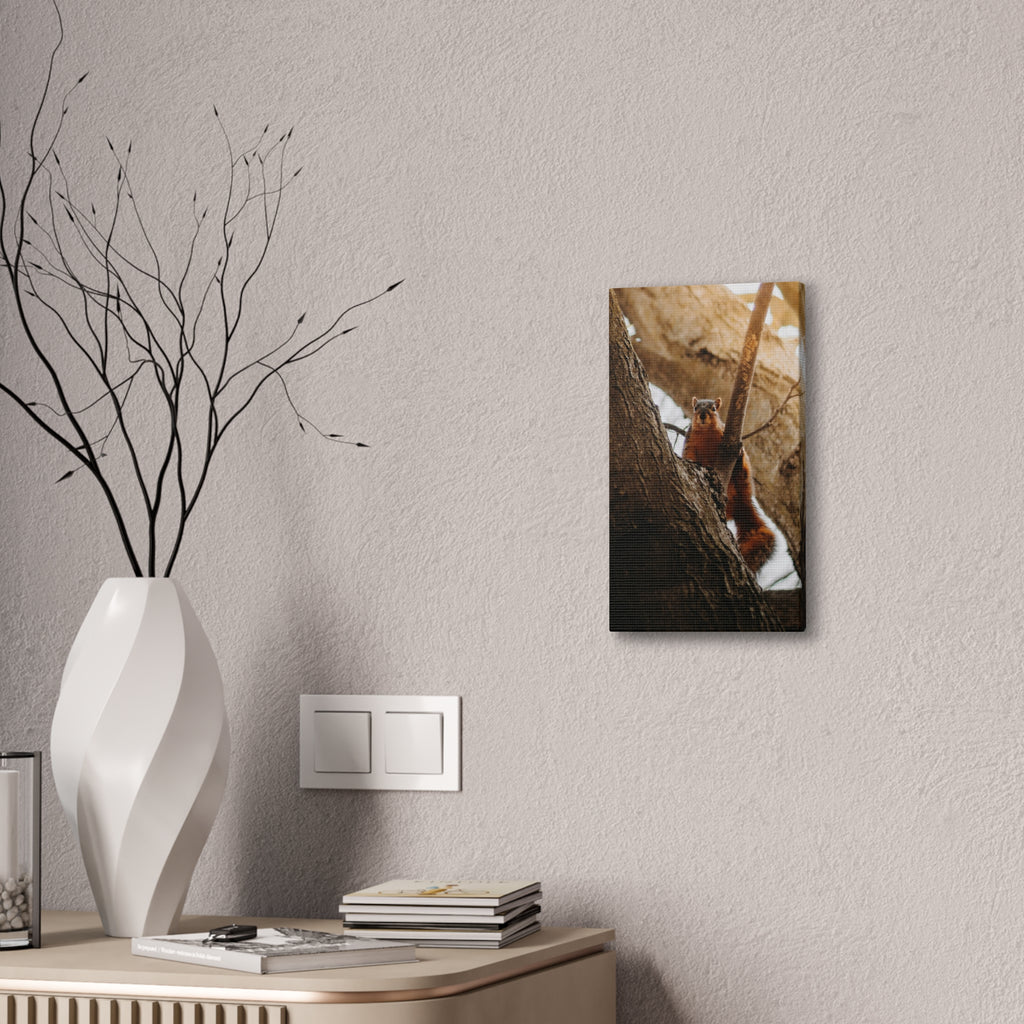 Squirrel Canvas