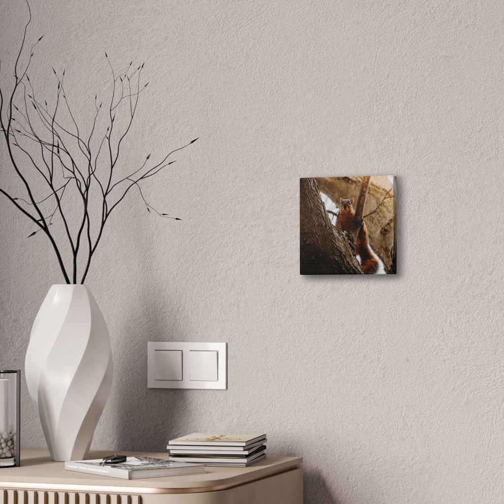 Squirrel Canvas