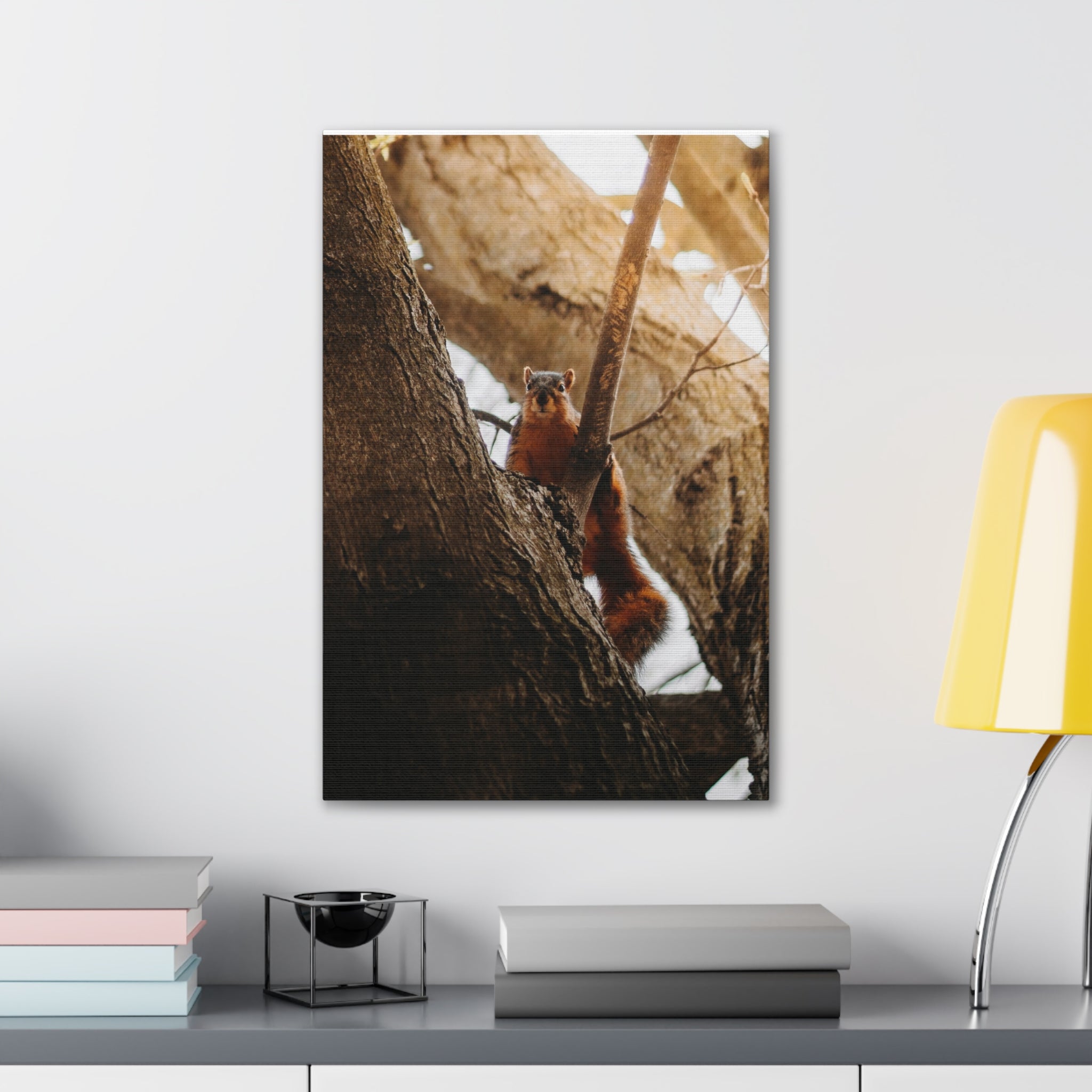Squirrel Canvas