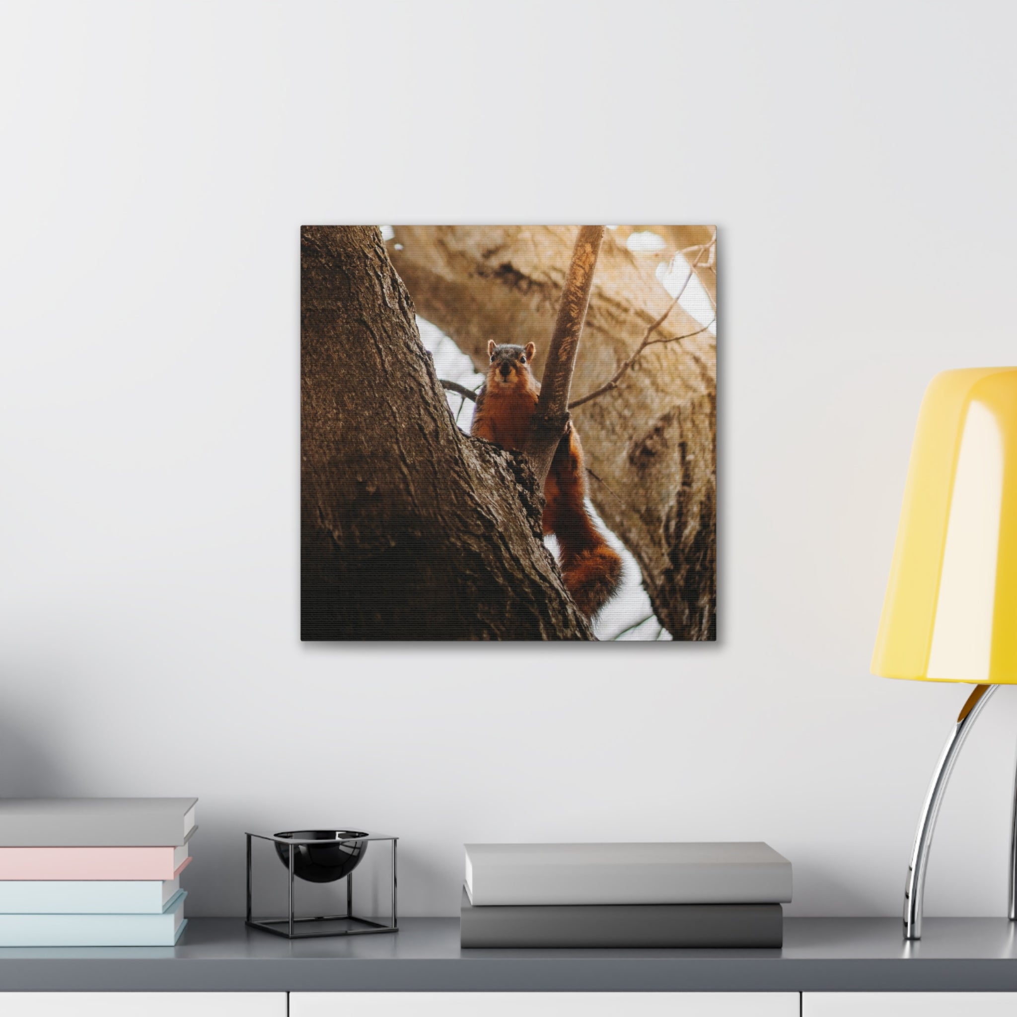 Squirrel Canvas