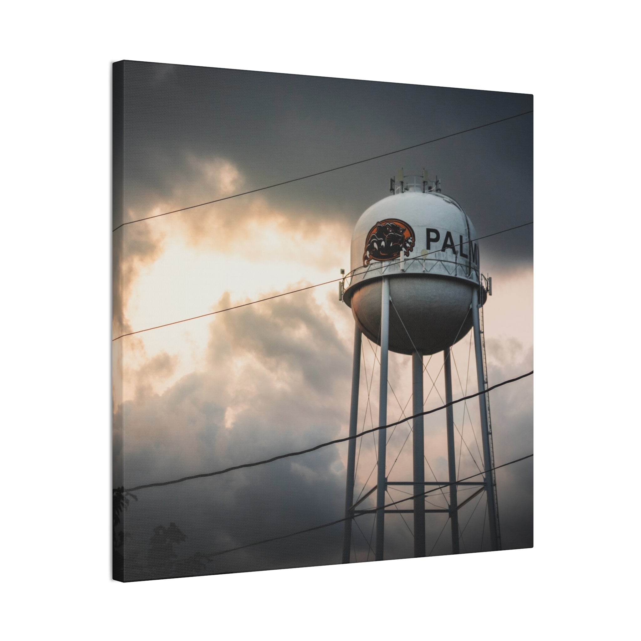 Palmyra Water Tower Canvas Print