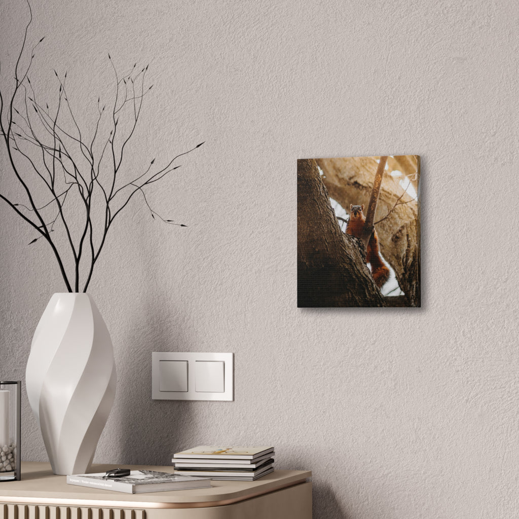 Squirrel Canvas