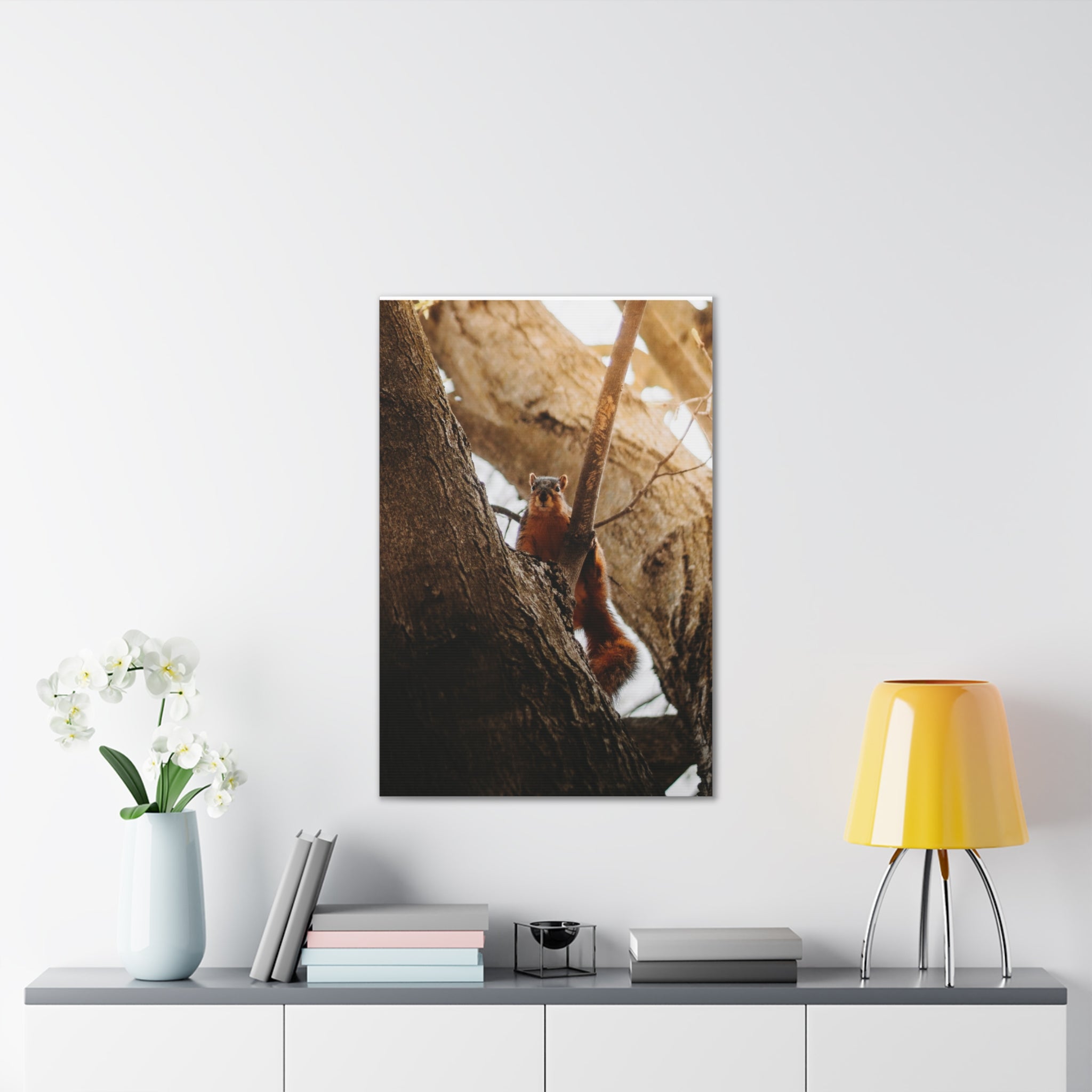 Squirrel Canvas
