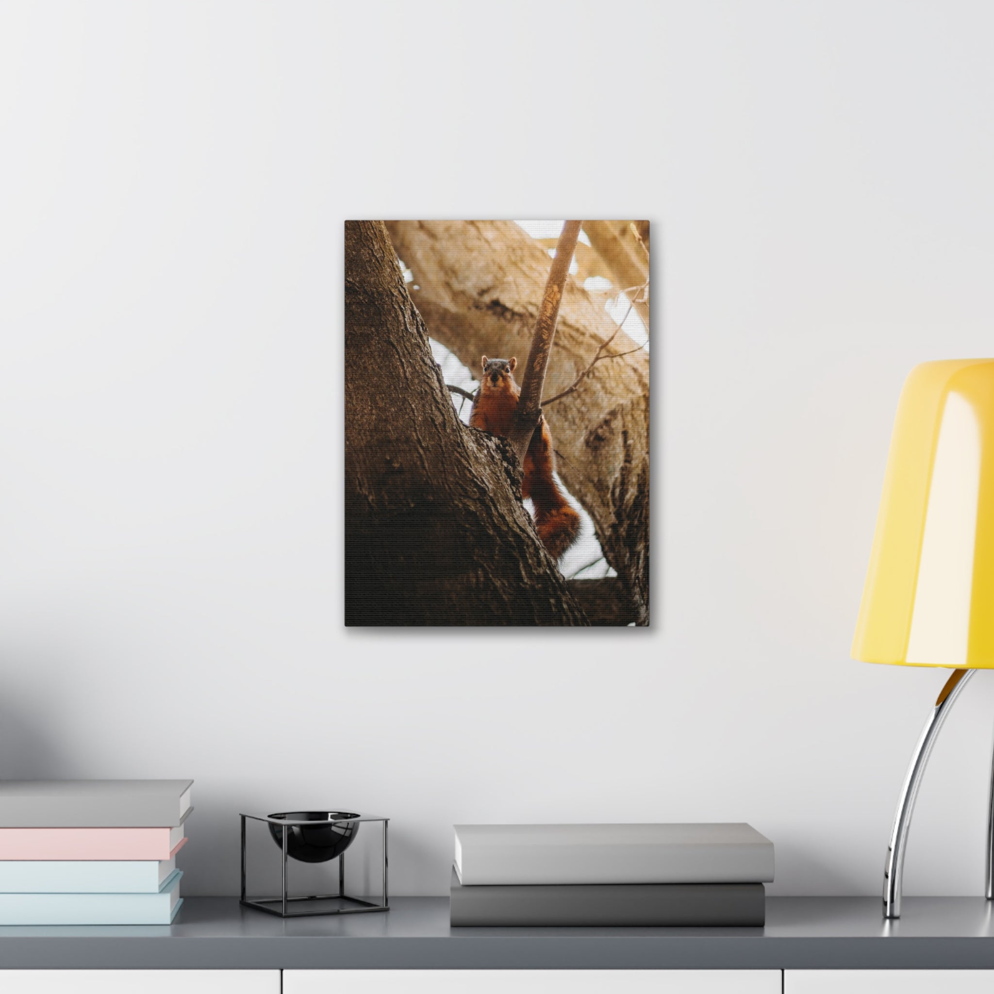 Squirrel Canvas