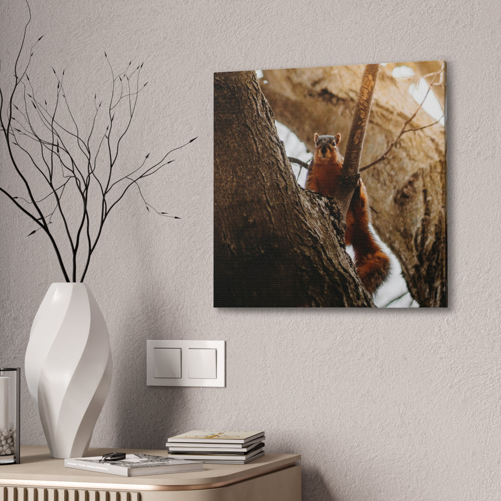 Squirrel Canvas