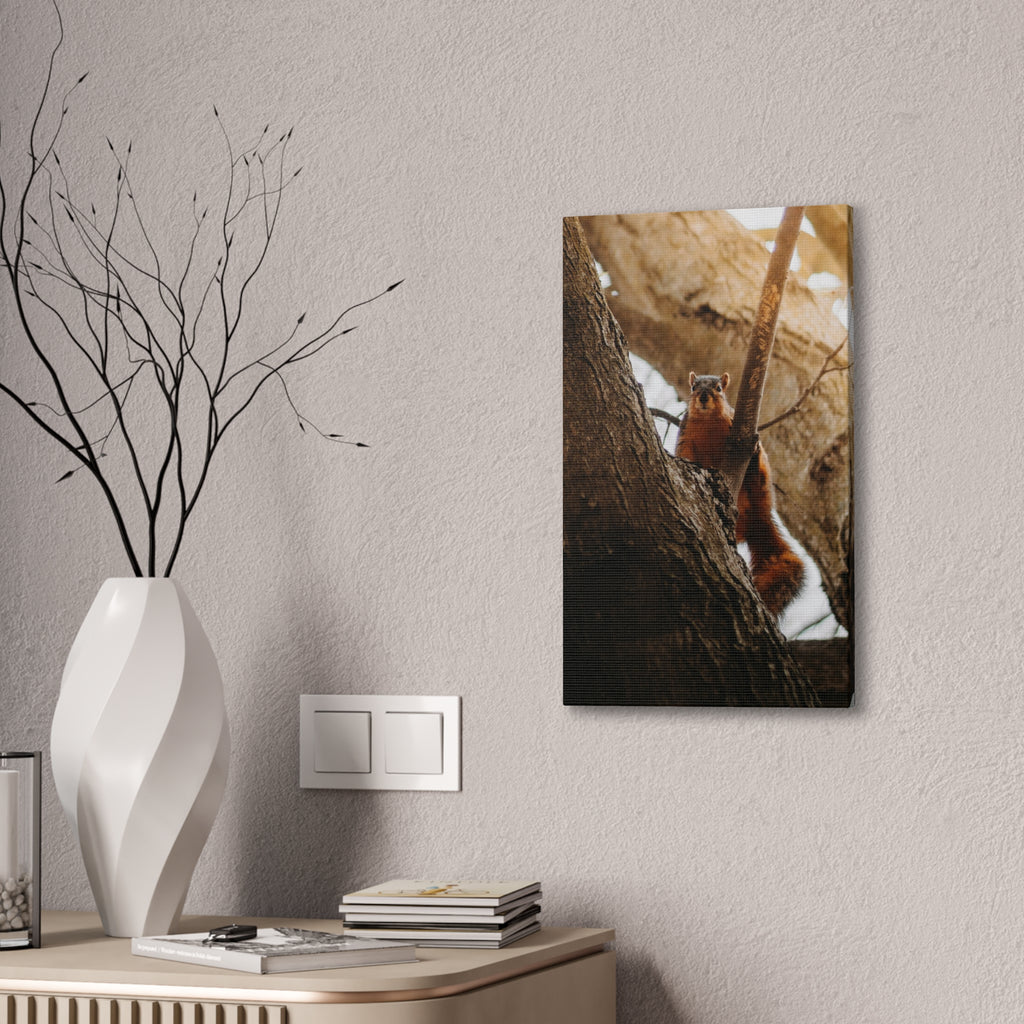 Squirrel Canvas