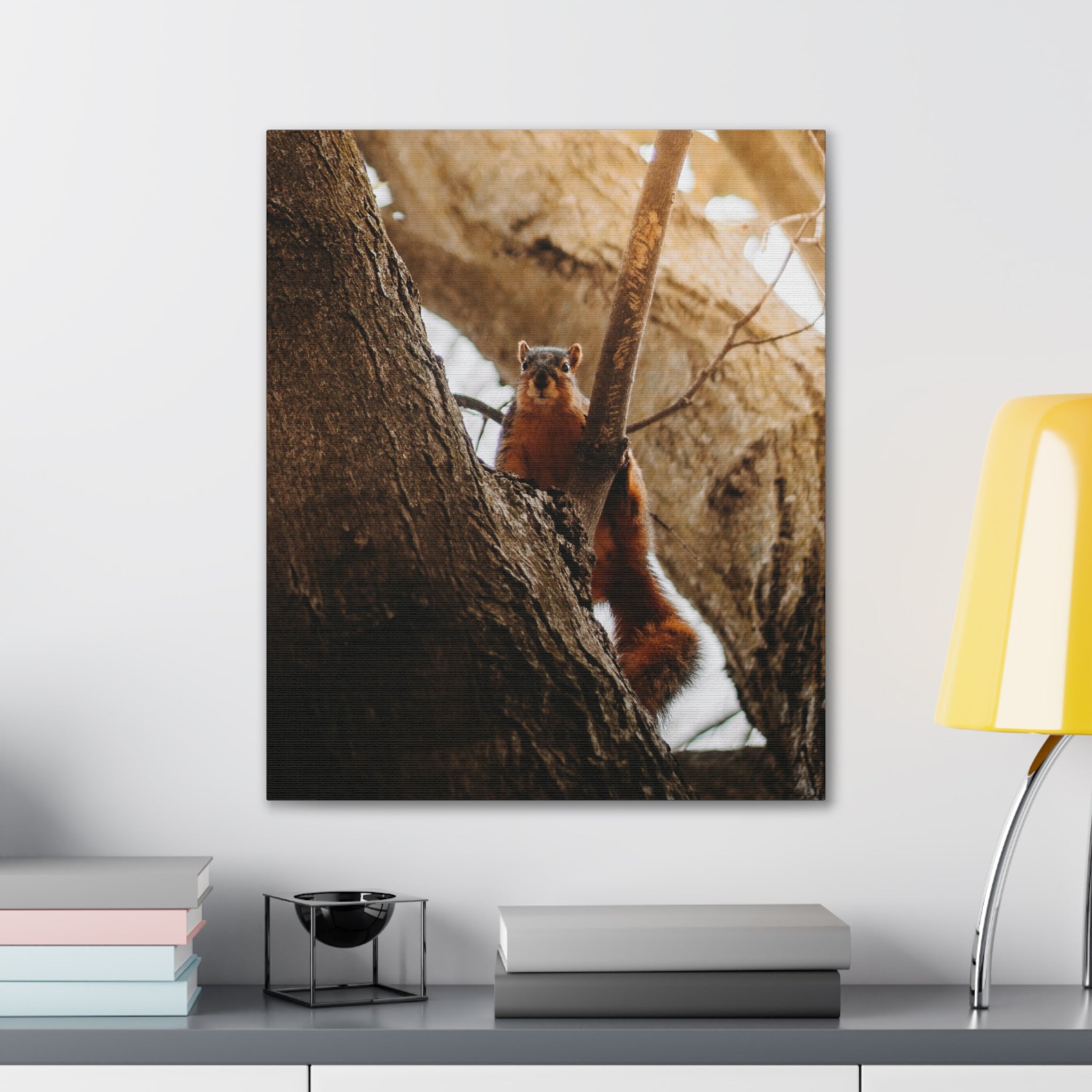 Squirrel Canvas
